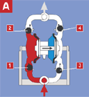 ���(d��ng)��Ĥ��